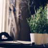 LITRO AROMA INCENSE&CEDRAT