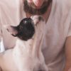 ELIMINADOR MAL OLOR AMBIENTE CON MASCOTAS